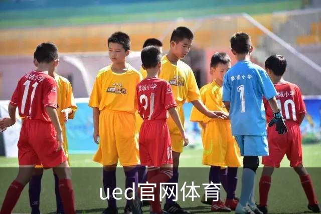 ued官网体育公司简介